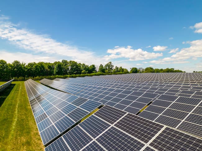 Páneles solares. Foto: Getty Images