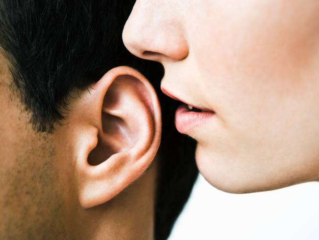 Melolagnia, imagen de referencia. Foto: Getty Images