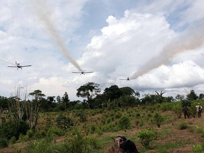 Corte Constitucional mantiene restricción de fumigación aérea con glifosato. Foto: Colprensa