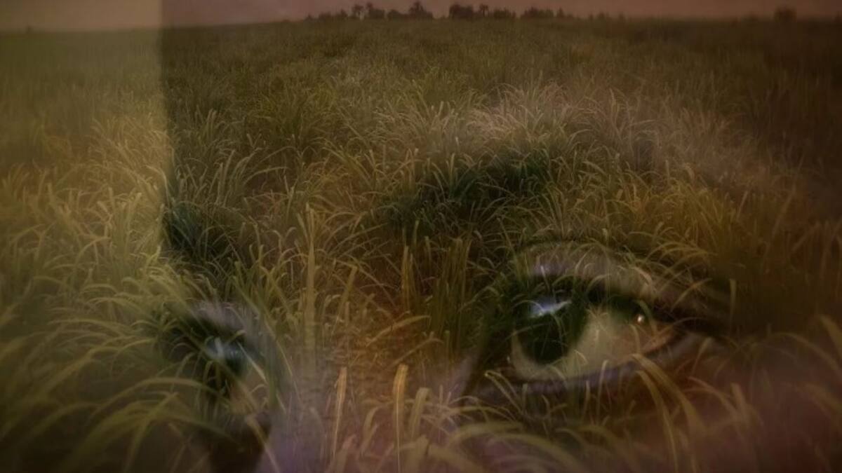 "Abriendo una ventana a las narrativas Africanas": Angela Ramírez habla de MUICA