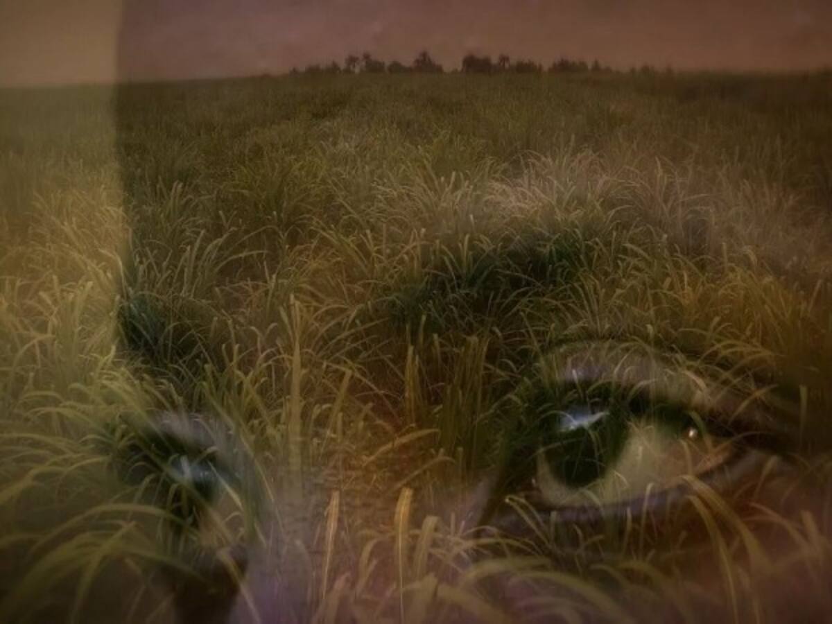 “Abriendo una ventana a las narrativas Africanas”: Angela Ramírez habla de MUICA 2023