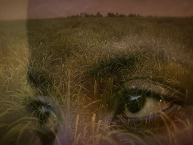 "Abriendo una ventana a las narrativas Africanas": Angela Ramírez habla de MUICA