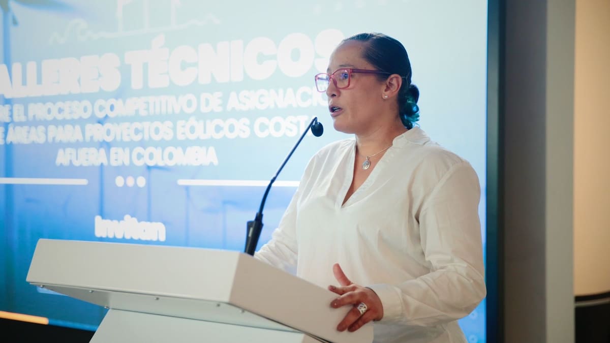 Piden a presidente Petro aceptar renuncia de viceministra de Energía, Belizza Ruiz