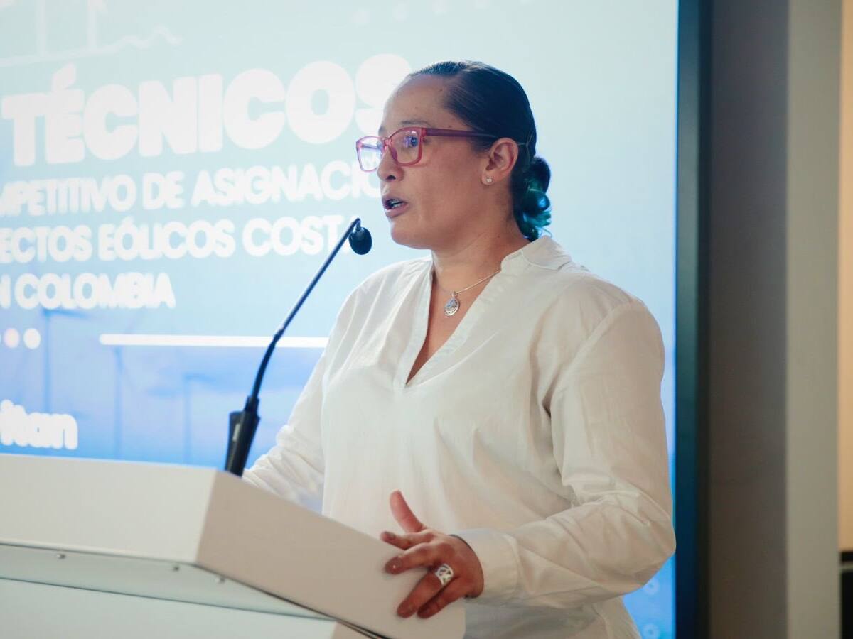 Procuraduría cita a exviceministra de Energía, Belizza Ruiz, por informe de MinMinas