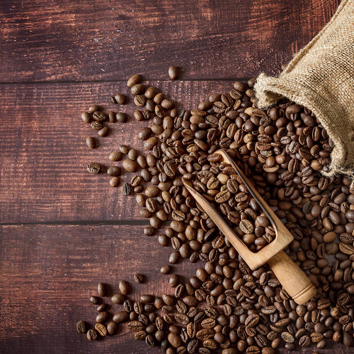 ExpoAlimentos vuelve a Colombia con sabor a Café