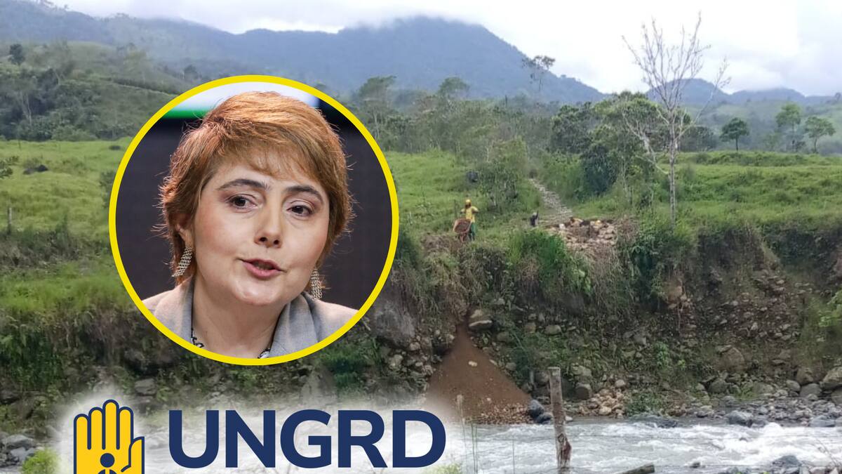 Denuncian irregularidades en contratos de UNGRD por $10.000 millones para puentes en Risaralda