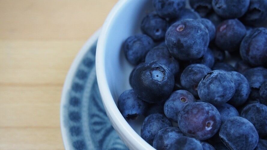Arandanos / Imagen de referencia . Foto: Pixabay