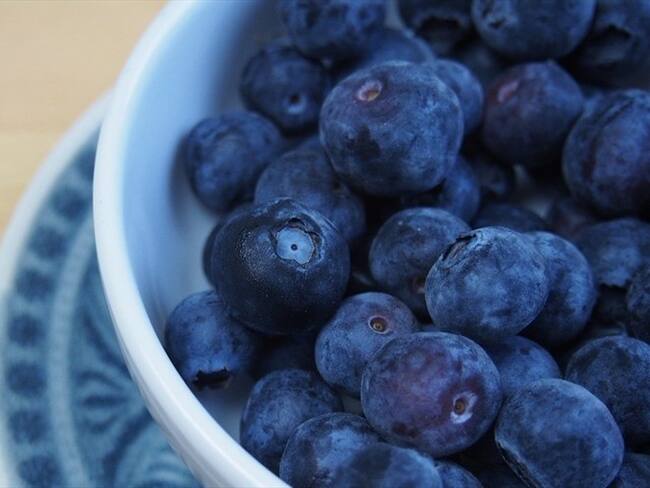 Arandanos / Imagen de referencia . Foto: Pixabay