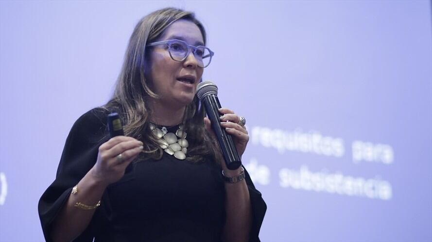 María Fernanda Suárez, ministra de Minas y Energías, explica cómo se podrá pagar los servicios públicos en el país durante la cuarentena por el Covid-19.. Foto: Colprensa