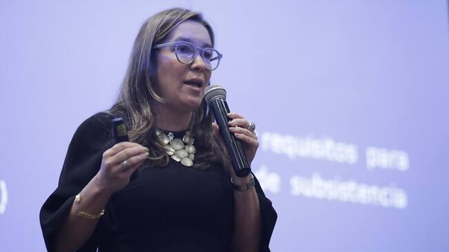 María Fernanda Suárez, ministra de Minas y Energías, explica cómo se podrá pagar los servicios públicos en el país durante la cuarentena por el Covid-19.. Foto: Colprensa