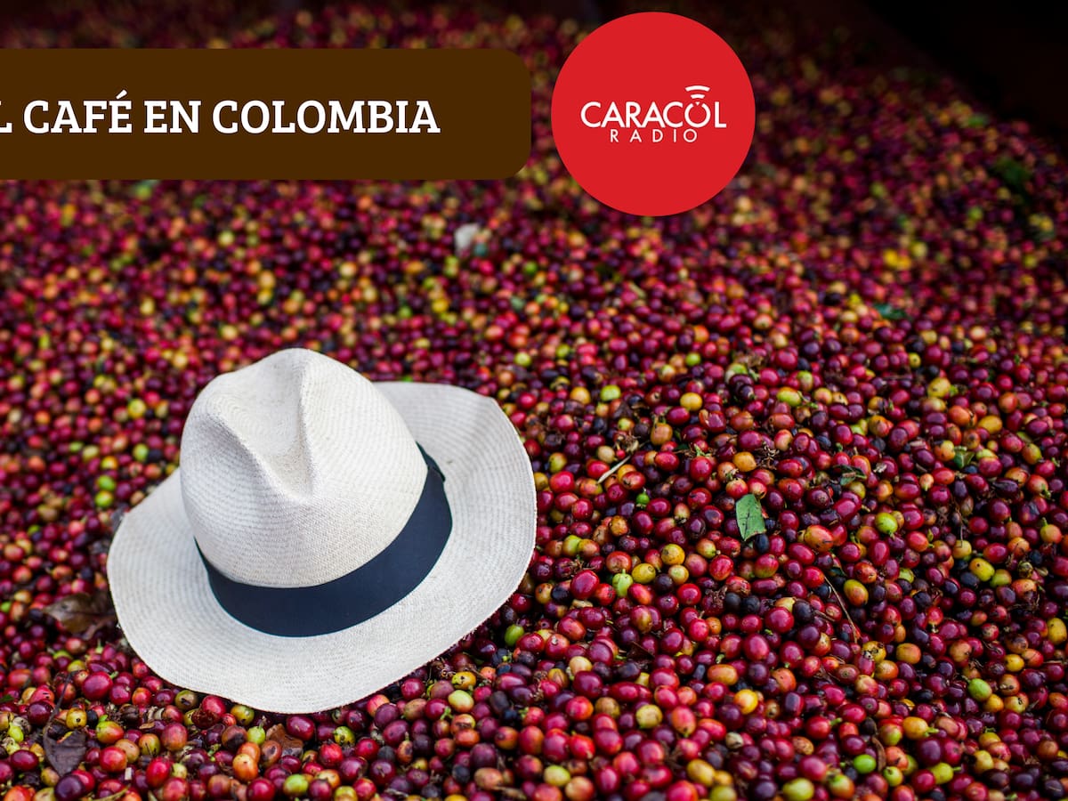Precio del café HOY 9 de marzo en Colombia según la FNC: Así inició la semana el producto nacional