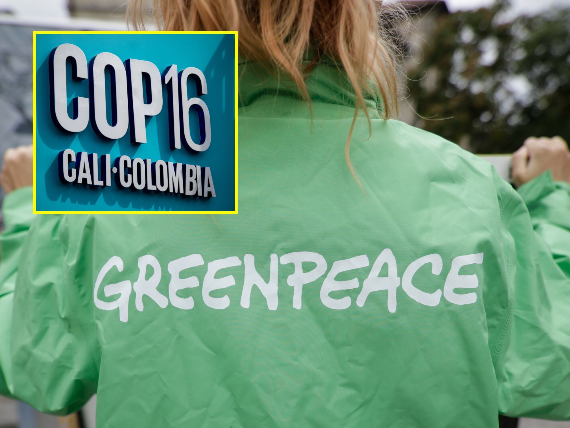 Greenpace y COP16. I Fotos. Getty Images.
