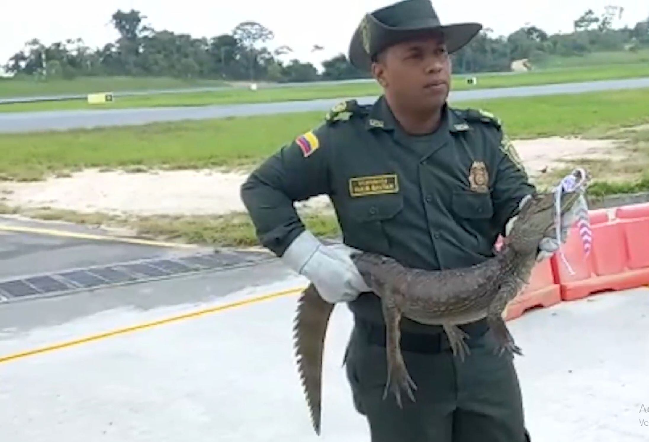 Babilla / suministrada policía Bucaramanga