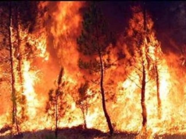 Declaran alerta máxima en Cundinamarca por incendios forestales