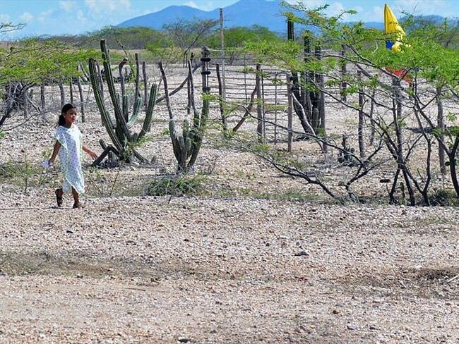 La prioridad debe ser la protección y alimentación de la niñez: directora del ICBF