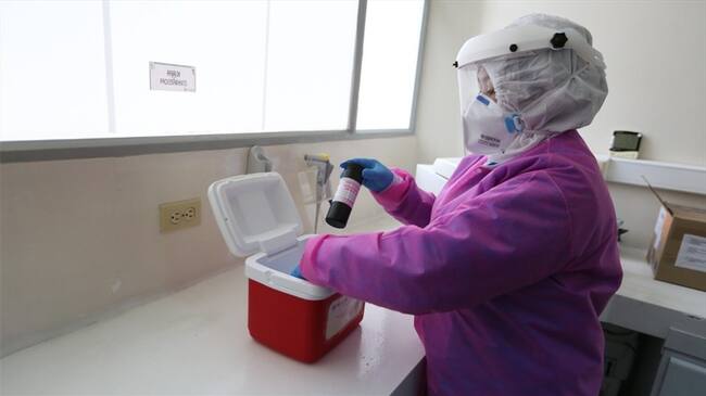 En total son 159 los casos positivos registrado en Boyacá, 42 personas recuperadas y seis fallecidos.. Foto: Gobernación de Boyacá