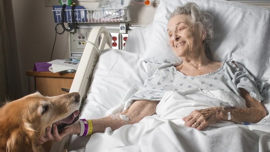Según la institución, esta medida se adopta con el objetivo de acelerar la recuperación cardiovascular, mental y la rehabilitación de estos pacientes. Foto: Getty Images / BARBARA BRADY-SMITH