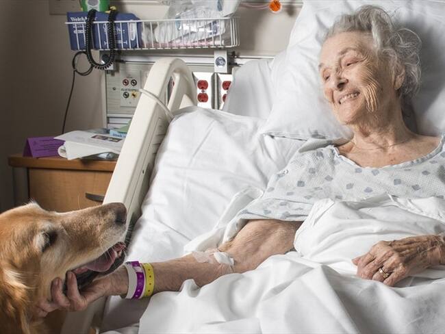 Según la institución, esta medida se adopta con el objetivo de acelerar la recuperación cardiovascular, mental y la rehabilitación de estos pacientes. Foto: Getty Images / BARBARA BRADY-SMITH