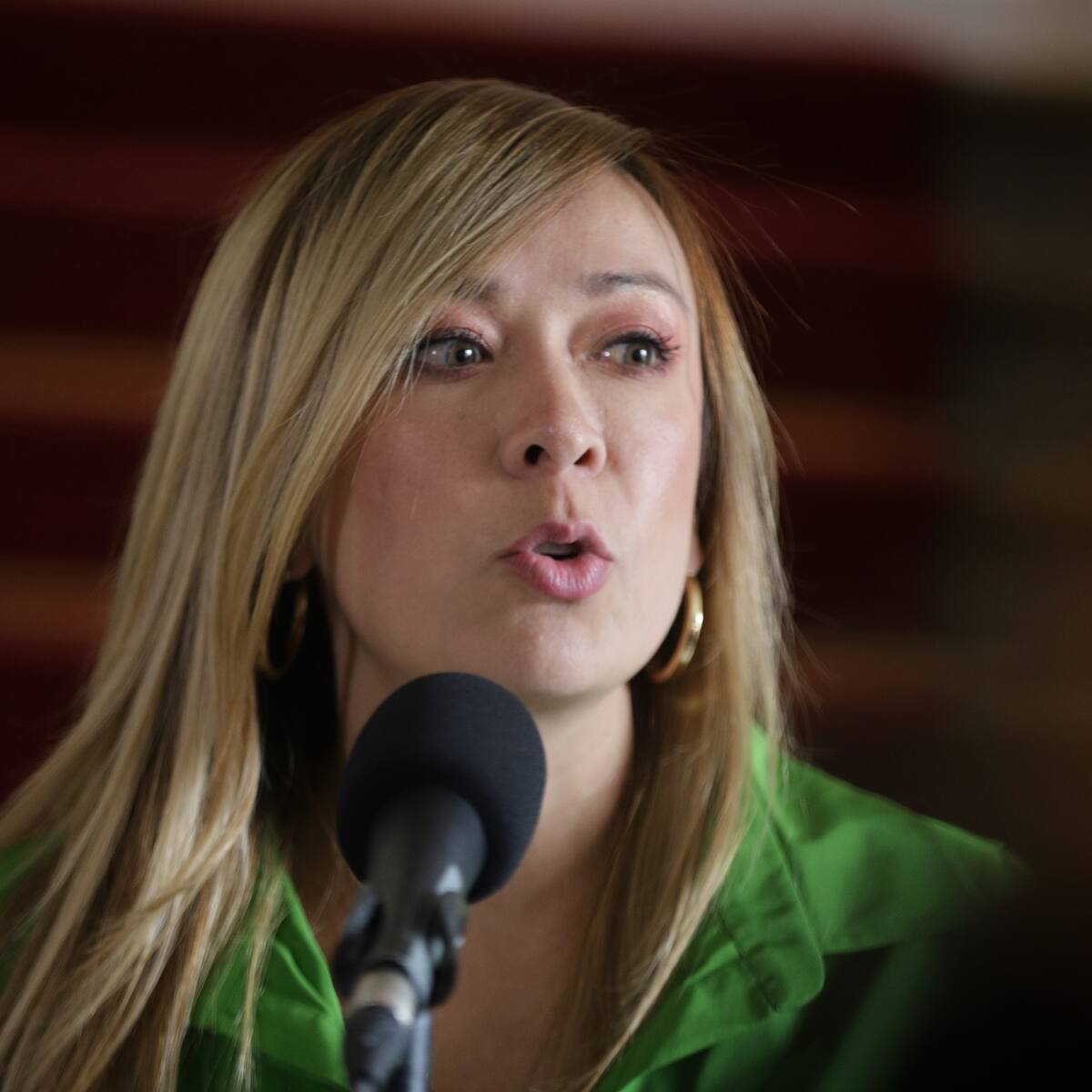 Presupuesto de 2024 está desfinanciado y rompe regla fiscal: Katherine Miranda