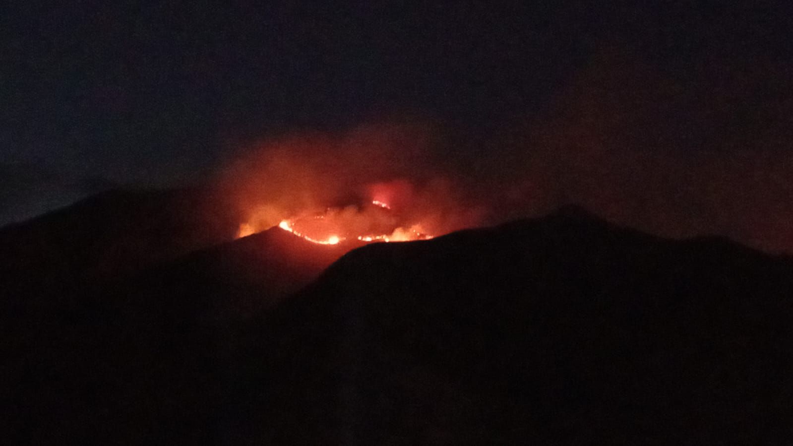 Alrededor de 10 hectáreas han sido afectadas por el fuego. Foto: Bomberos Cali.