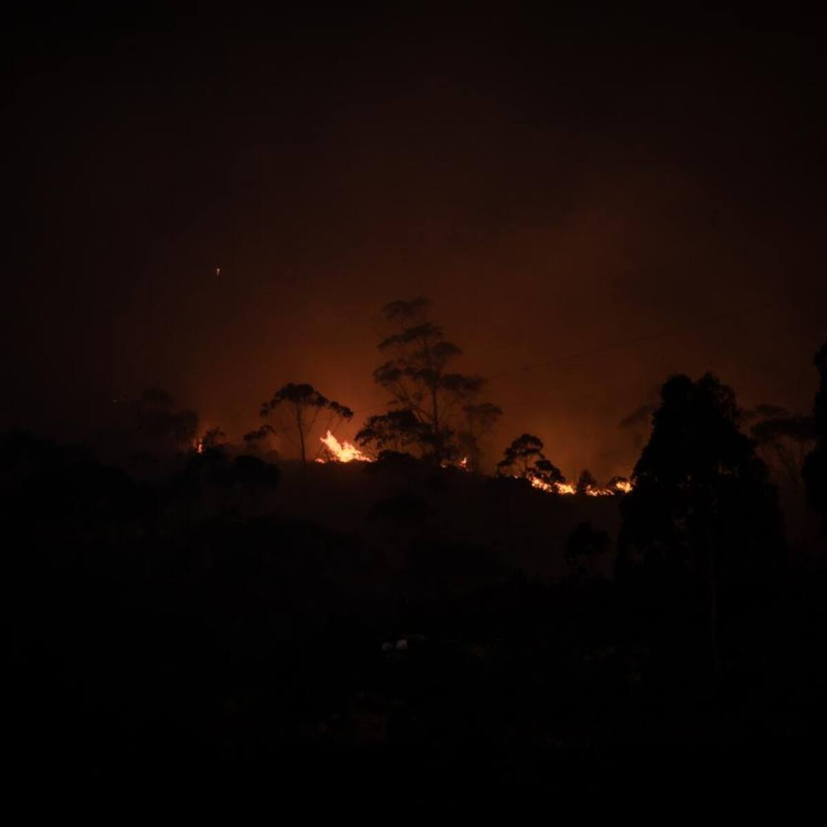 Continúan labores para controlar incendio forestal en los cerros orientales de Bogotá