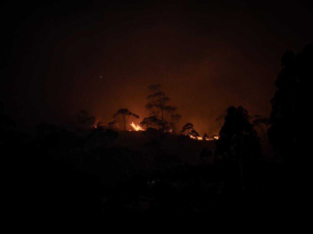 Continúan labores para controlar incendio forestal en los cerros orientales de Bogotá