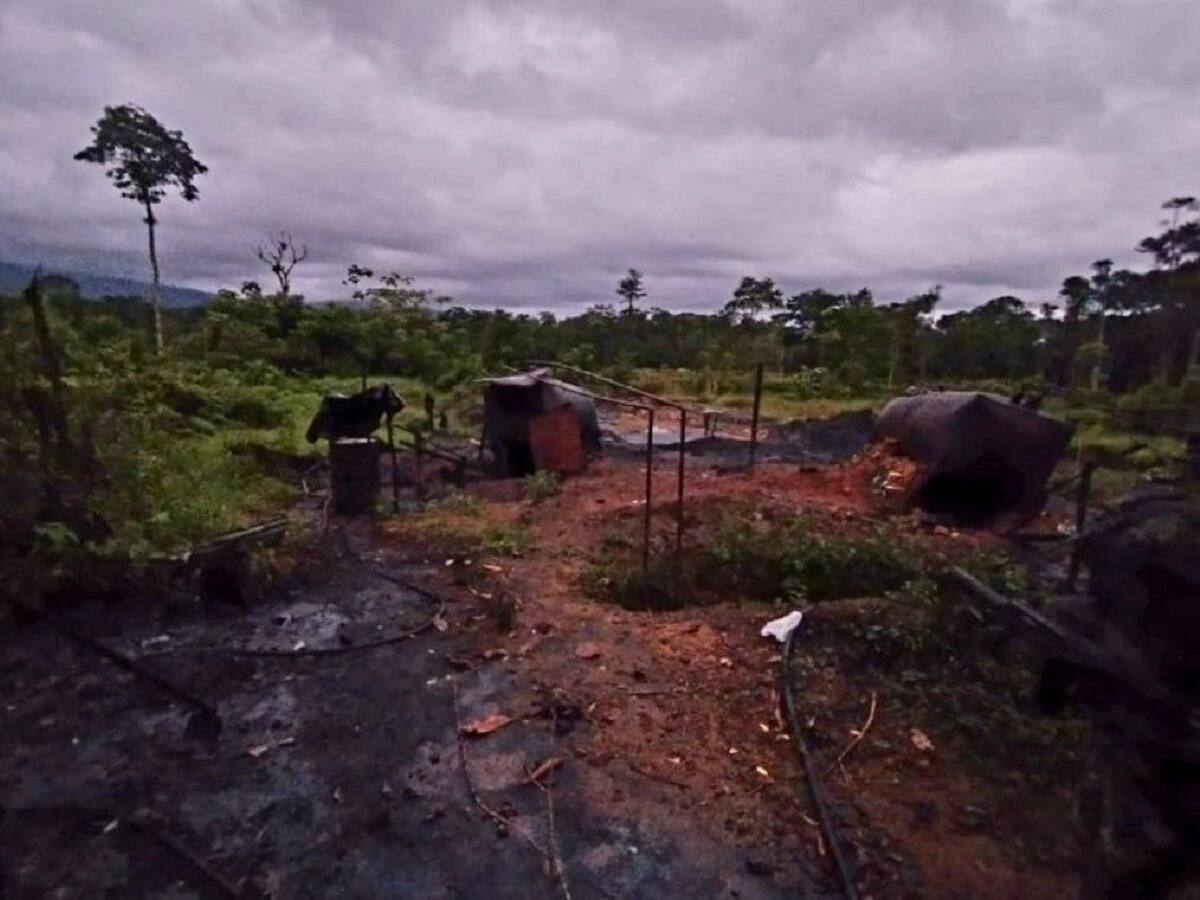 Golpe a las economías ilícitas del ELN en el Catatumbo