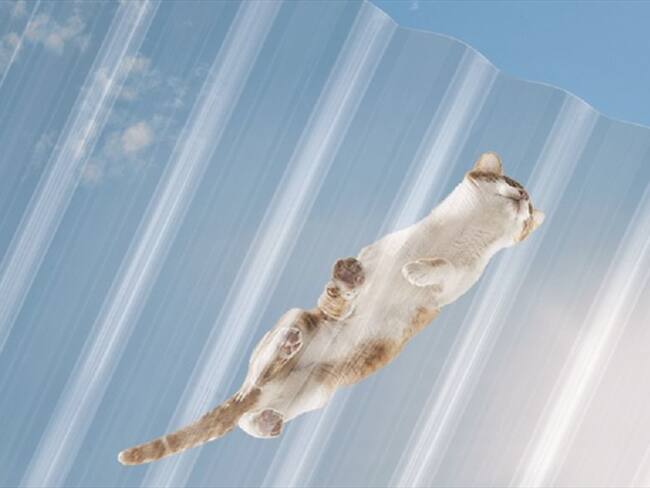 Nuevas Tejas de Policarbonato NG5. Foto: Redacción Comercial