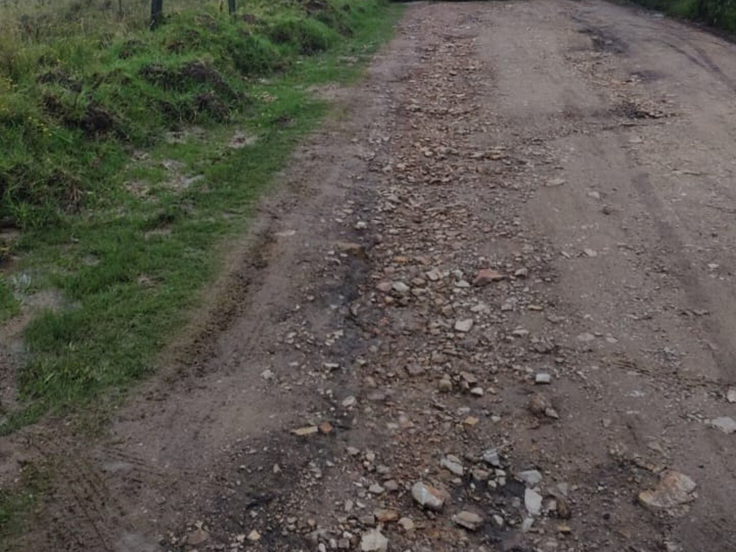 Imagen de referencia. Foto: Suministrada.