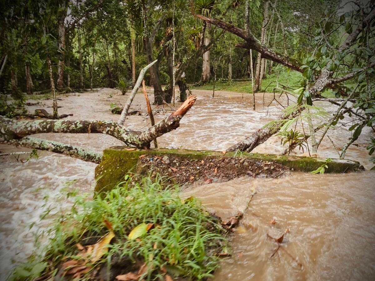 Fuerte vendaval en Viterbo, Caldas dejó a una persona fallecida y varias afectaciones