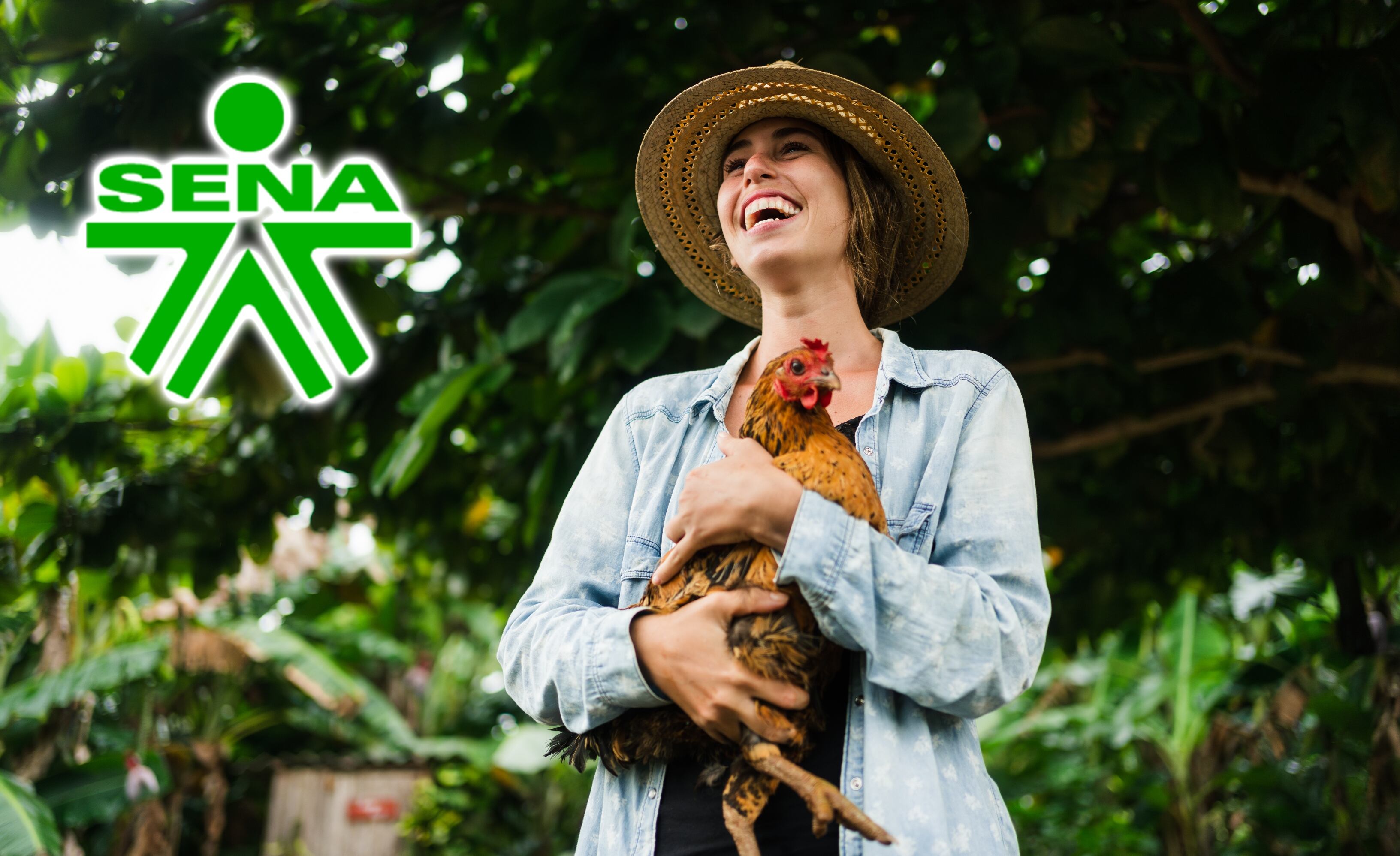 Imagen de referencia de Getty Images y SENA