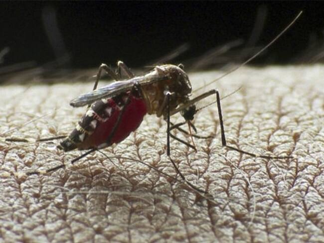 Alarma en Córdoba por aumento de los casos de dengue. Foto: Colprensa