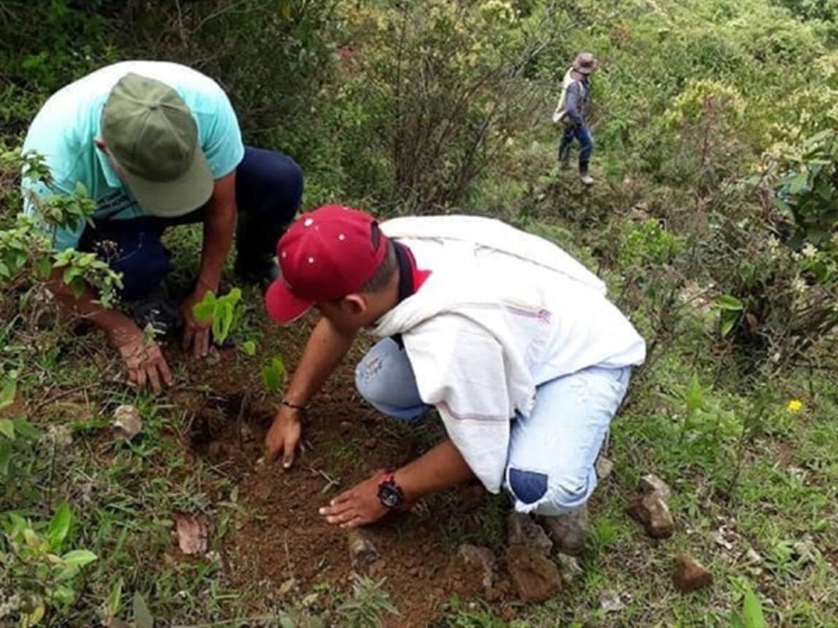 Evitar los incendios forestares es prioridad en Sopetrán, Antioquia