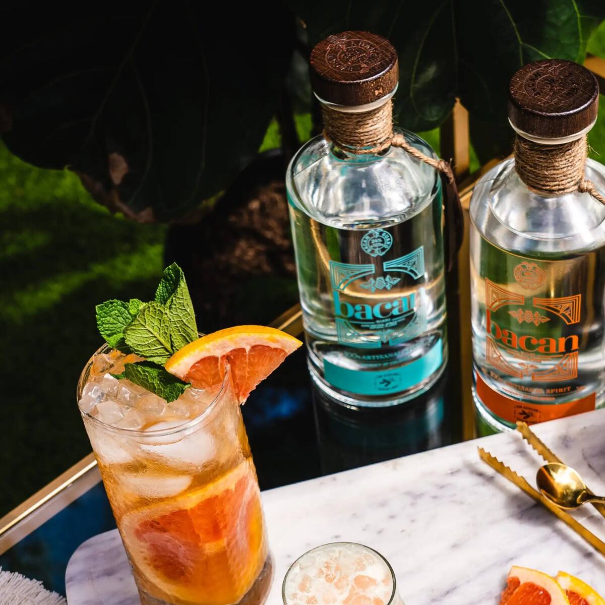‘Bacan Guaro’, el aguardiente colombiano que debuta en los Estados Unidos