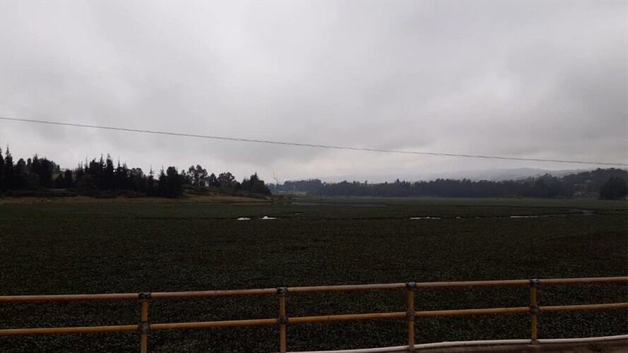 En los linderos de esta represa, que opera Usochicamocha, además de los olores se puede observar la proliferación de zancudos.. Foto: La W