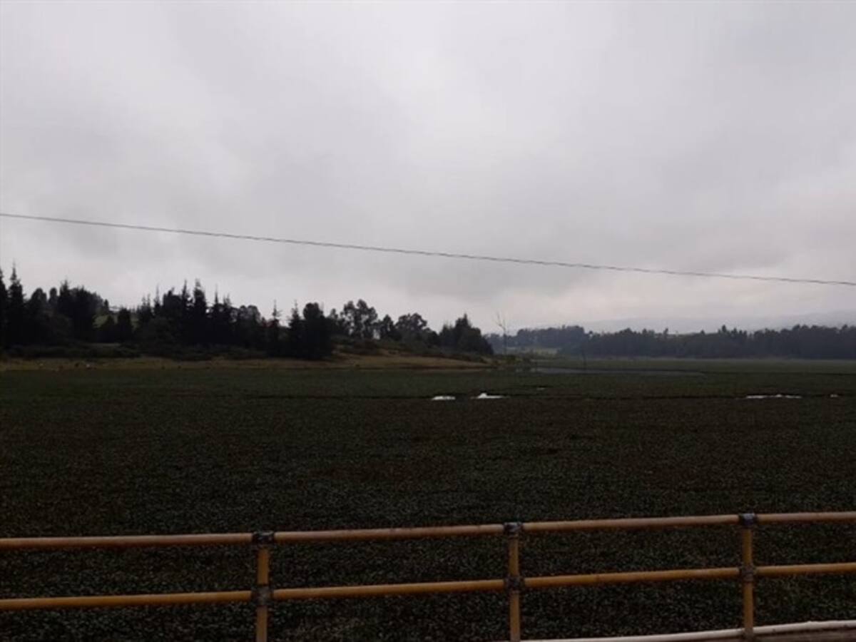 Piden a entidades ambientales intervenir represa La Playa en Tuta, Boyacá