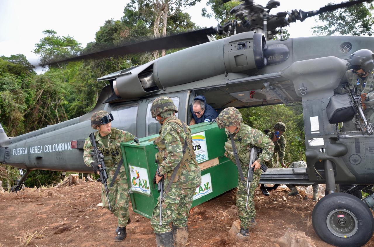 Con apoyo del Ejército Nacional liberan dos pumas en el Parque Nacional Natural Paramillo. Foto: prensa CVS.