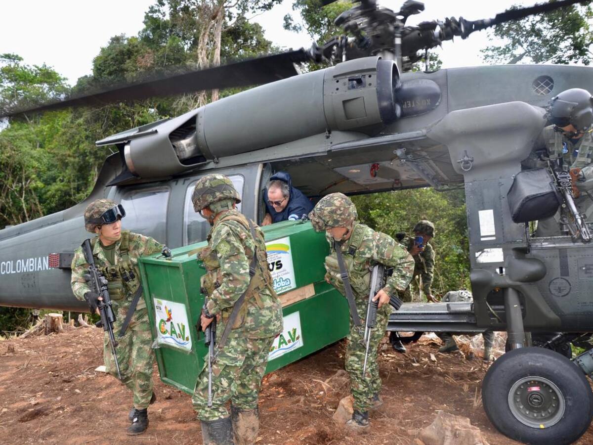 Con apoyo del Ejército Nacional liberan dos pumas en el Parque Natural Paramillo