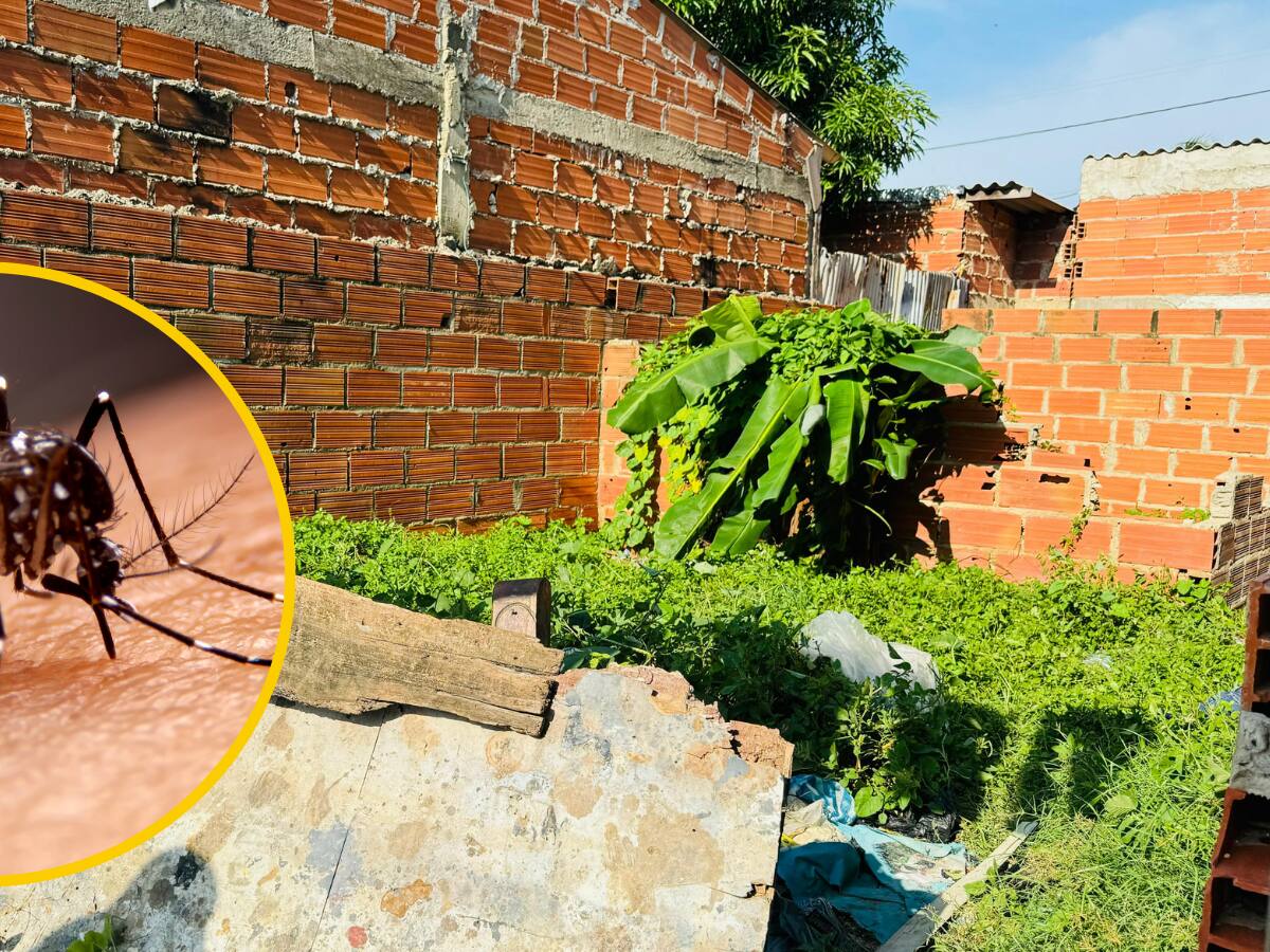 Autoridades investigan si muerte de dos menores en Cartagena fue por dengue