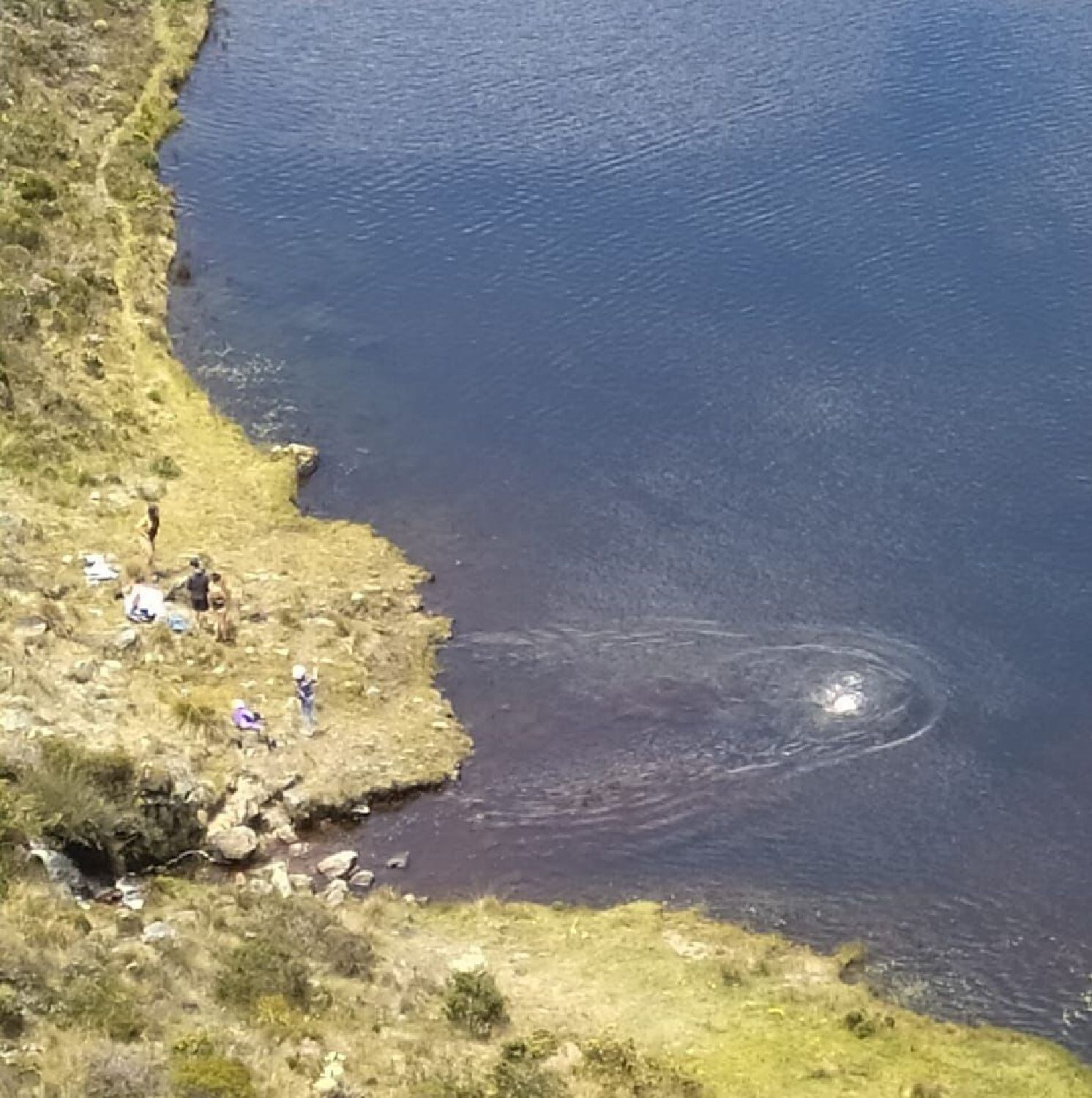 Páramo Santurbán/ Hernán Bautista. 