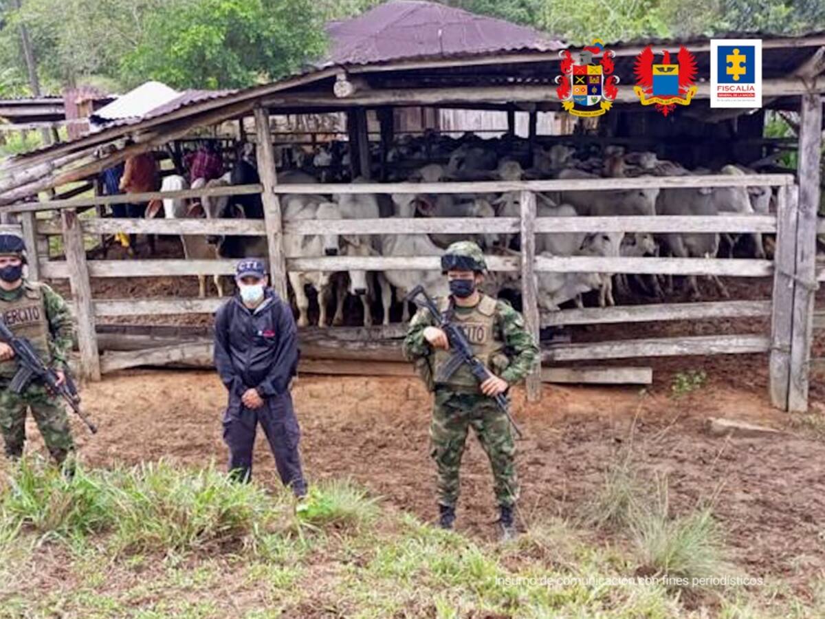 A extinción de dominio bienes de alias ‘Contador’