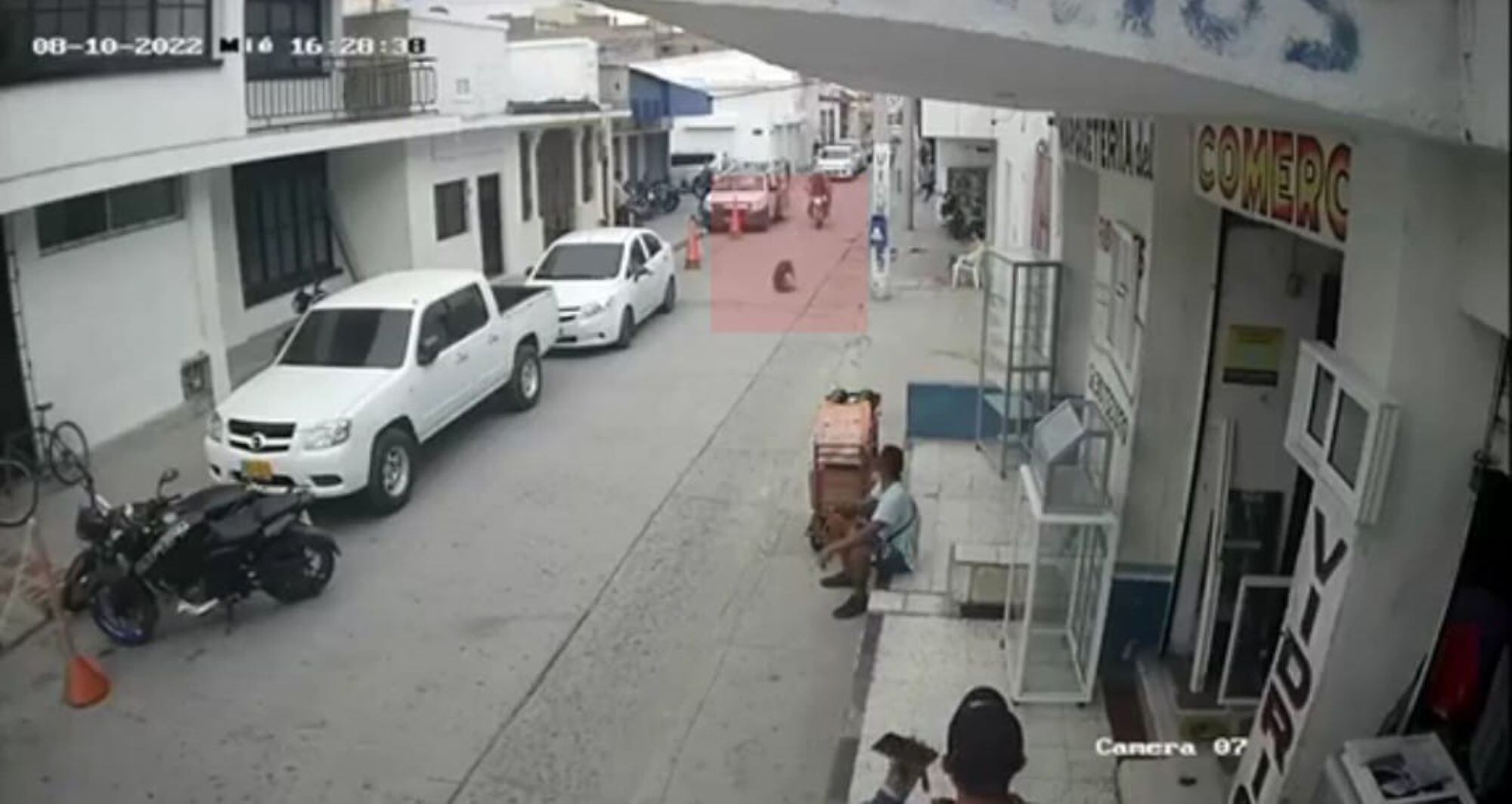 Momento de la caída del perro/ Cámaras de seguridad del sector