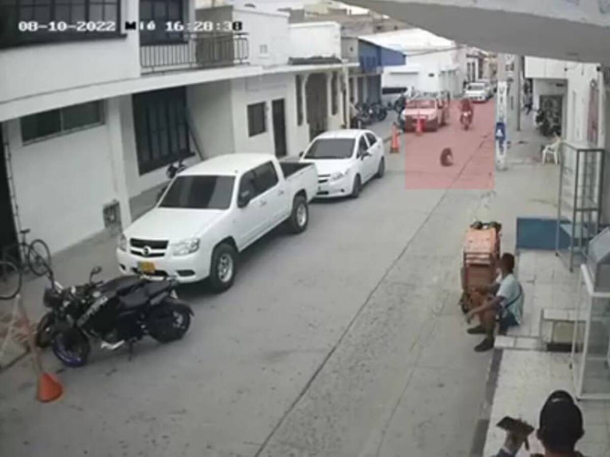 Lanzan perro desde un tercer piso en Santa Marta