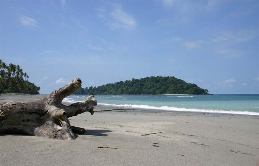 Parque Natural Gorgona. Foto: Colprensa.