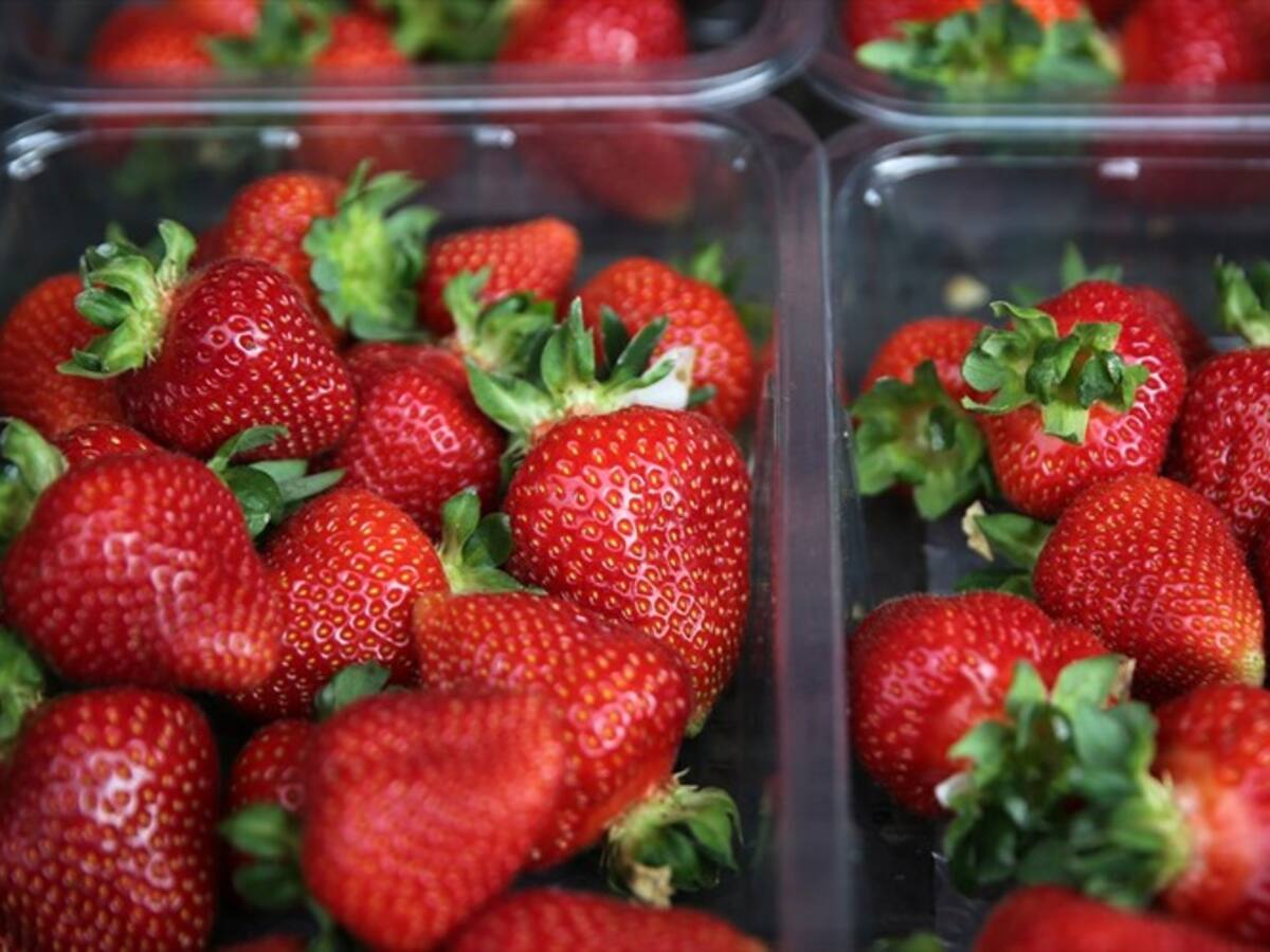 Conmoción en Australia por fresas que tenían agujas dentro