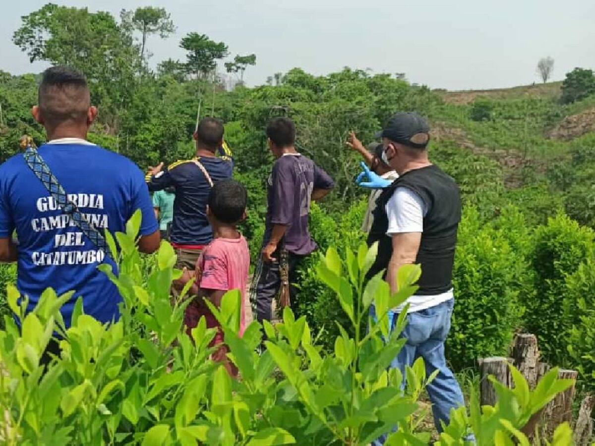 El Tarra, Norte de Santander, recibe el primer encuentro cocalero del Catatumbo