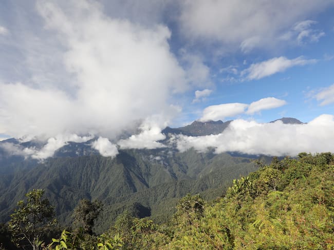 Imagen de referencia de un paisaje en Risaralda. Foto: Getty Images.
