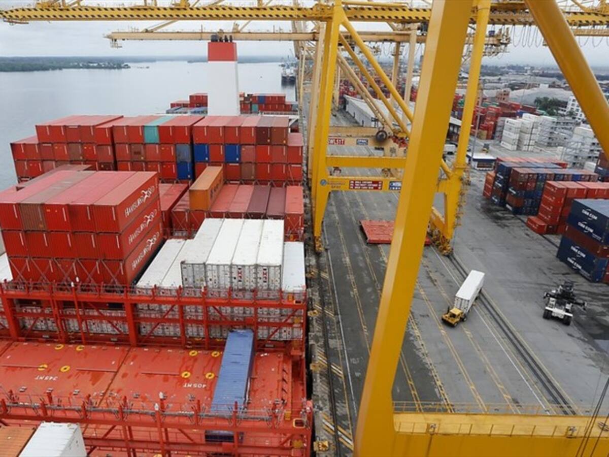 Más de 1.400 compañías colombianas exportaron por primera vez en 2020