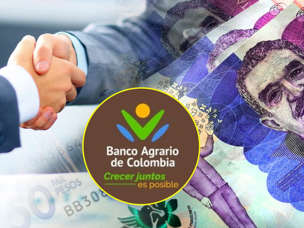 ¿Qué son y para qué sirven los depósitos judiciales del Banco Agrario? Le enseñamos
