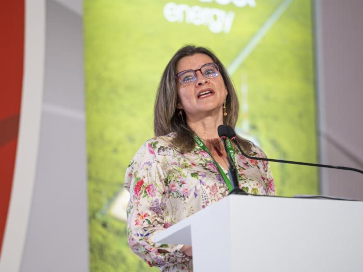 Clara Guatame dio su versión sobre su salida de la presidencia de la ANH